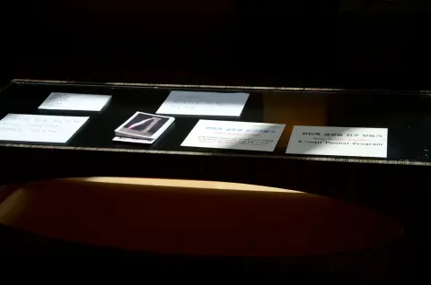 DSC_4491.jpg
